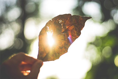 Living Beyond Loss